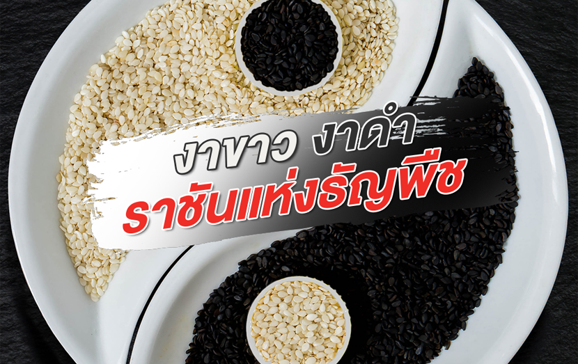 งาขาว งาดำ ราชันแห่งธัญพืช 1